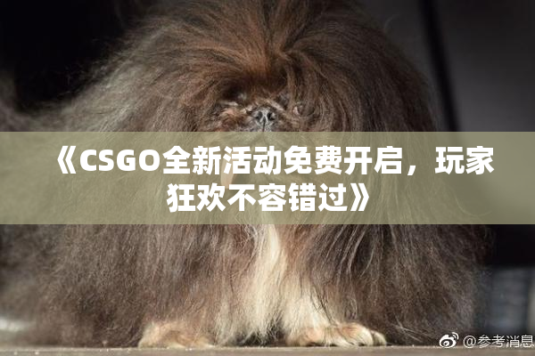 《CSGO全新活动免费开启，玩家狂欢不容错过》
