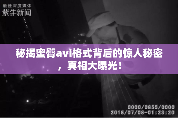 秘揭蜜臀avi格式背后的惊人秘密，真相大曝光！