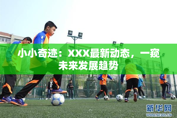 小小奇迹：XXX最新动态，一窥未来发展趋势