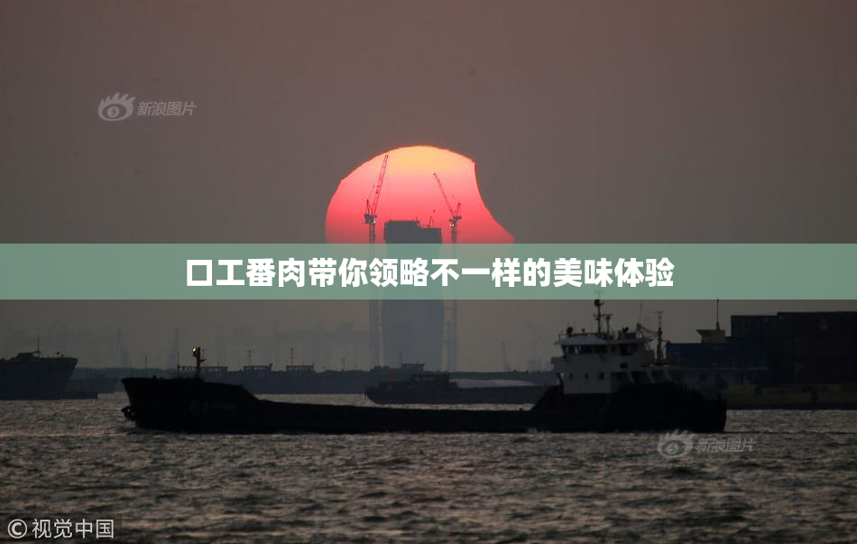 口工番肉带你领略不一样的美味体验