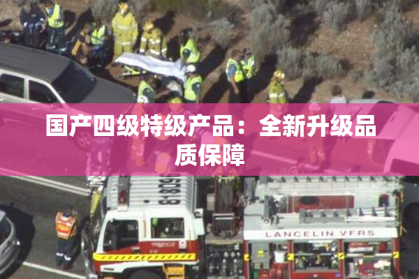 国产四级特级产品：全新升级品质保障