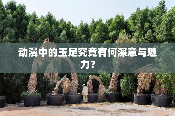 动漫中的玉足究竟有何深意与魅力？