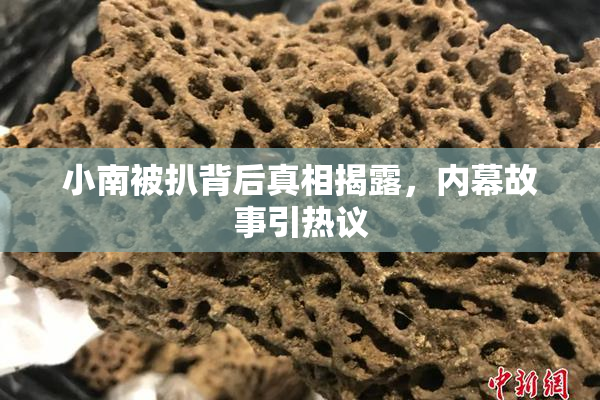 小南被扒背后真相揭露，内幕故事引热议
