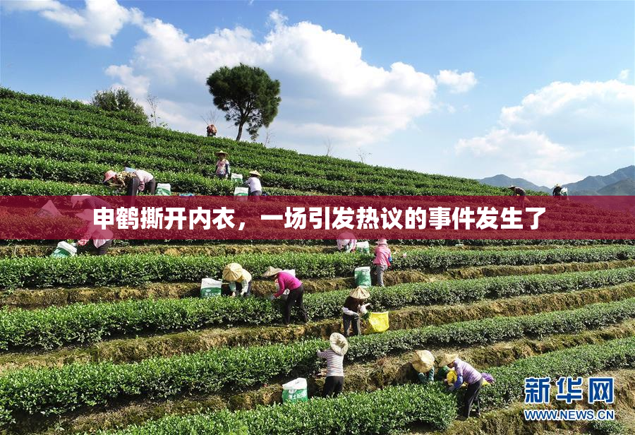 申鹤撕开内衣，一场引发热议的事件发生了