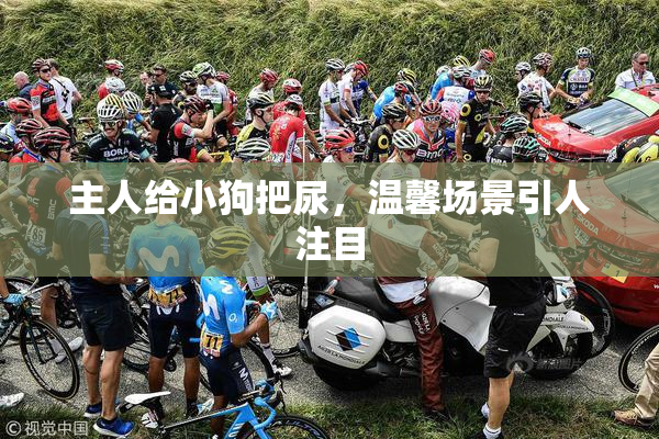 主人给小狗把尿，温馨场景引人注目