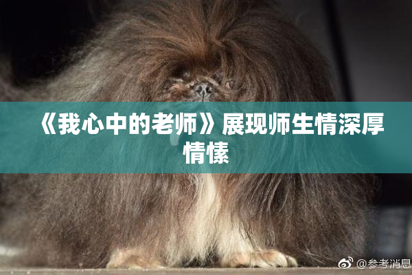 《我心中的老师》展现师生情深厚情愫
