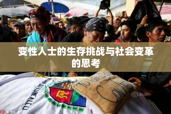 变性人士的生存挑战与社会变革的思考