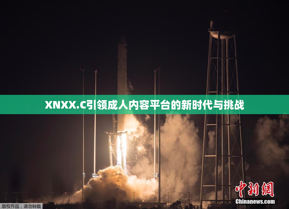XNXX.C引领成人内容平台的新时代与挑战