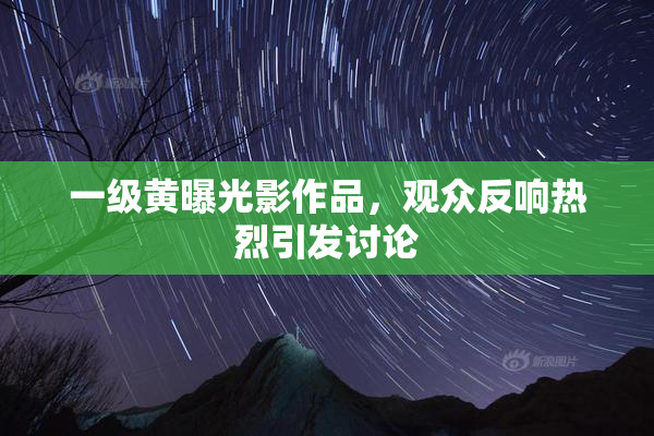 一级黄曝光影作品，观众反响热烈引发讨论