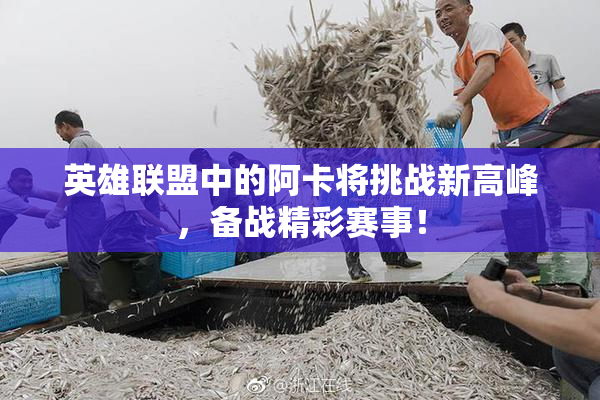 英雄联盟中的阿卡将挑战新高峰，备战精彩赛事！