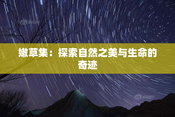 嫩草集：探索自然之美与生命的奇迹
