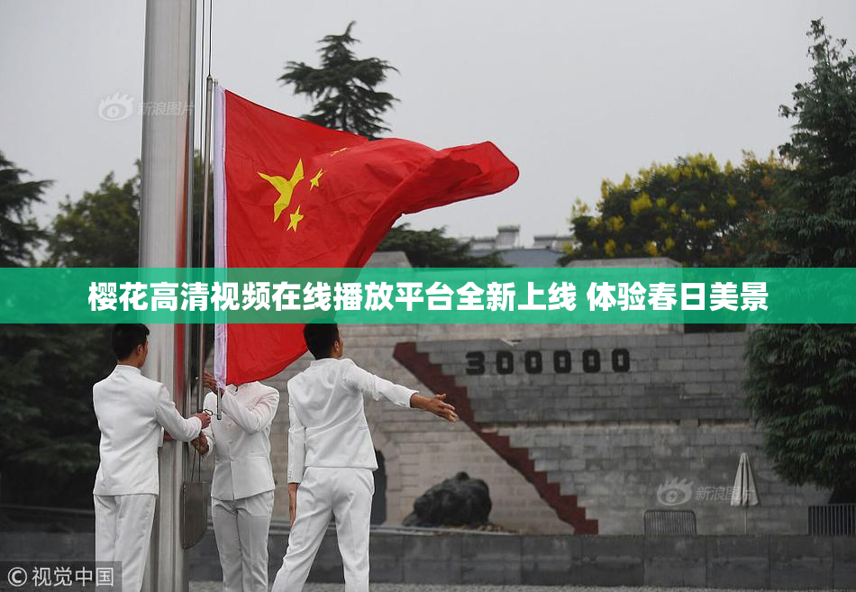 樱花高清视频在线播放平台全新上线 体验春日美景