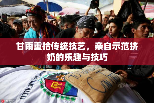 甘雨重拾传统技艺，亲自示范挤奶的乐趣与技巧