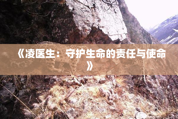 《凌医生：守护生命的责任与使命》