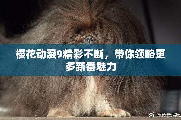 樱花动漫9精彩不断，带你领略更多新番魅力