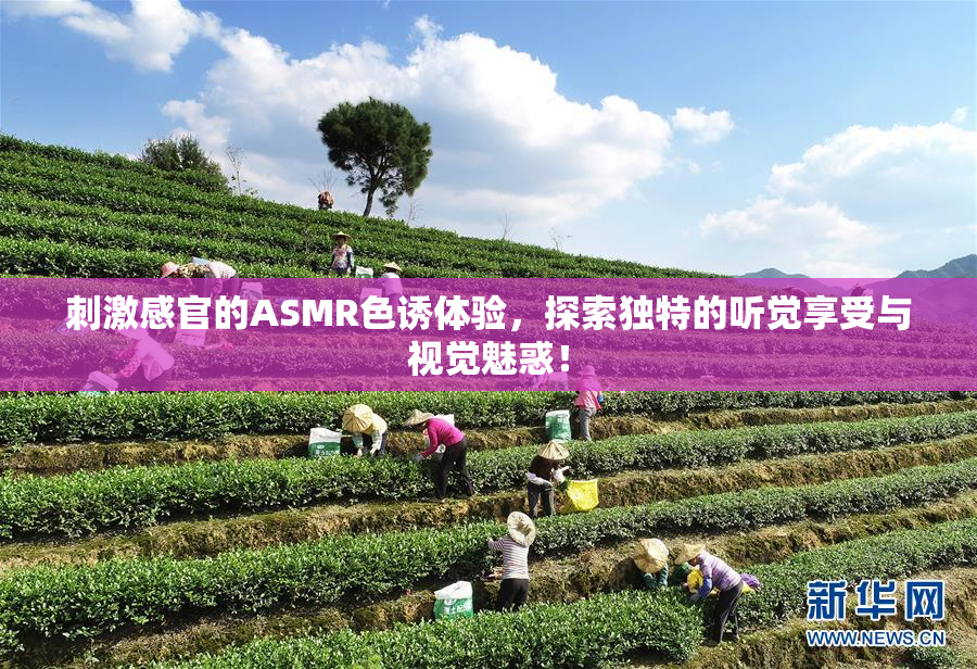 刺激感官的ASMR色诱体验，探索独特的听觉享受与视觉魅惑！