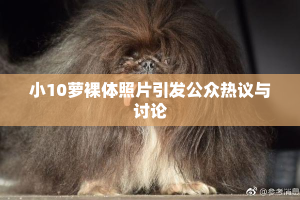 小10萝裸体照片引发公众热议与讨论