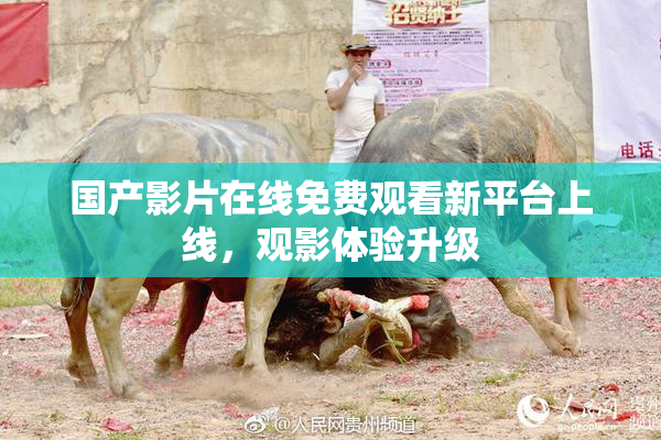 国产影片在线免费观看新平台上线，观影体验升级
