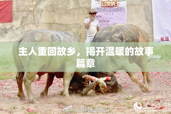 主人重回故乡，揭开温暖的故事篇章
