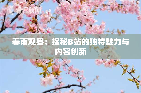 春雨观察：探秘B站的独特魅力与内容创新