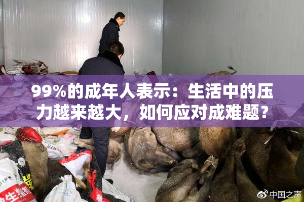 99%的成年人表示：生活中的压力越来越大，如何应对成难题？
