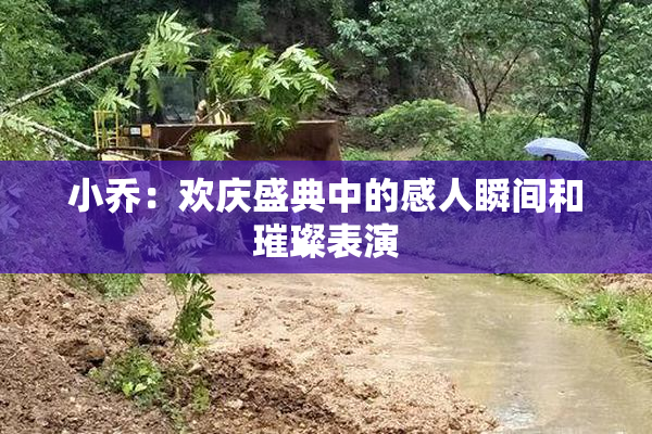 小乔：欢庆盛典中的感人瞬间和璀璨表演
