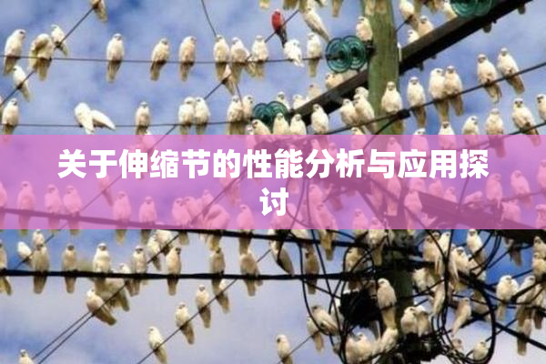 关于伸缩节的性能分析与应用探讨