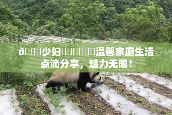🔞少妇❌‌❌‌❌‌温馨家庭生活点滴分享，魅力无限！