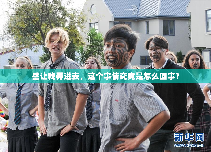 岳让我弄进去，这个事情究竟是怎么回事？