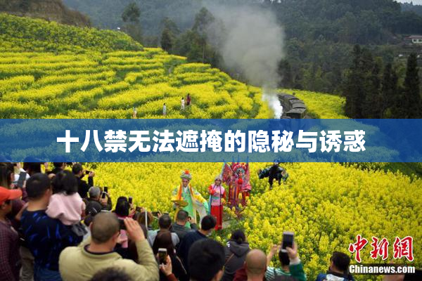 十八禁无法遮掩的隐秘与诱惑