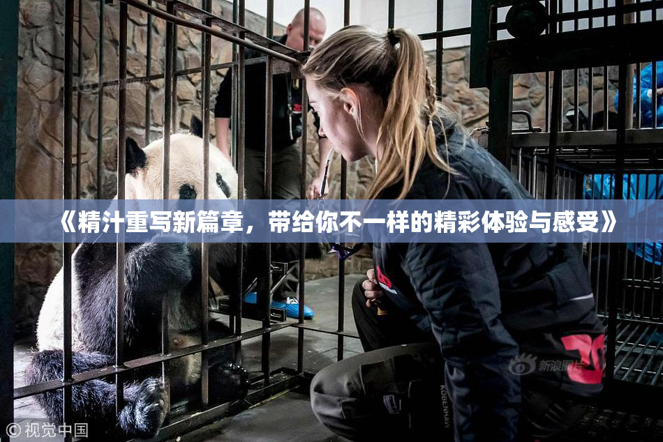 《精汁重写新篇章，带给你不一样的精彩体验与感受》