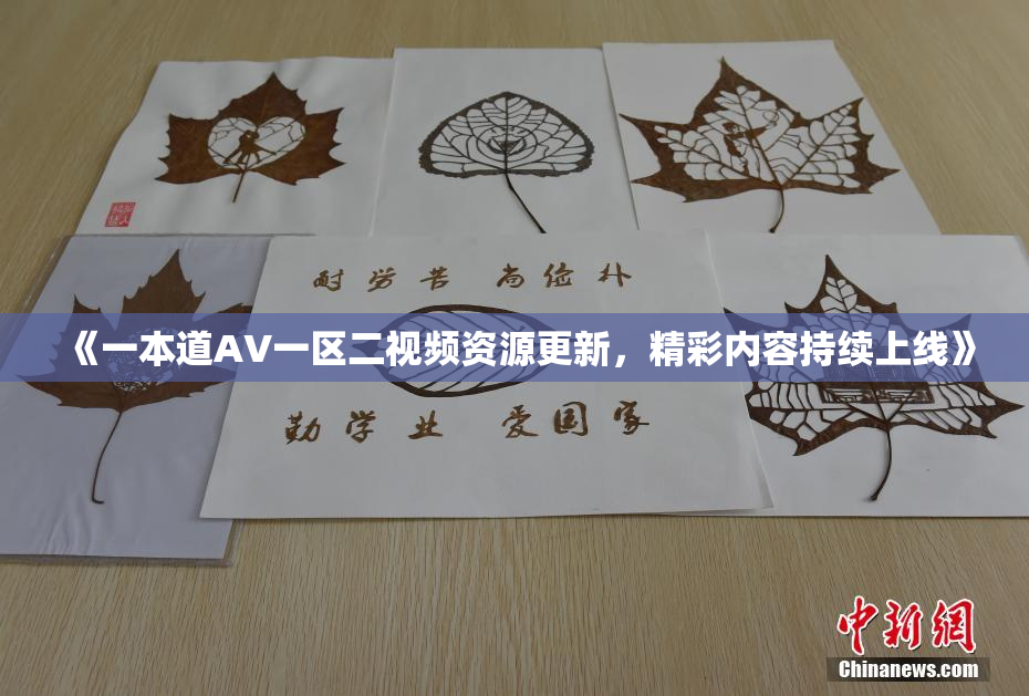 《一本道AV一区二视频资源更新，精彩内容持续上线》