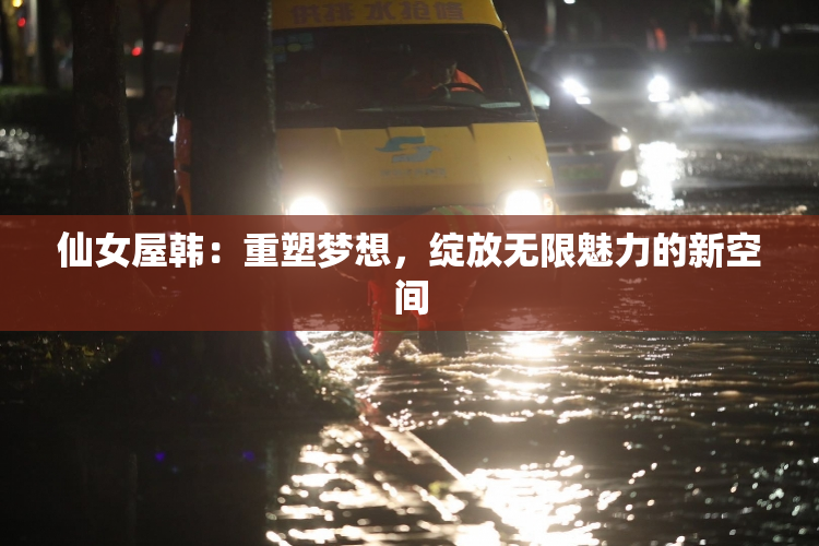 仙女屋韩：重塑梦想，绽放无限魅力的新空间