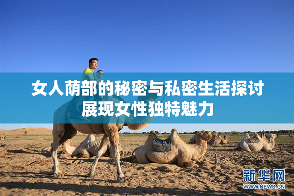 女人荫部的秘密与私密生活探讨展现女性独特魅力