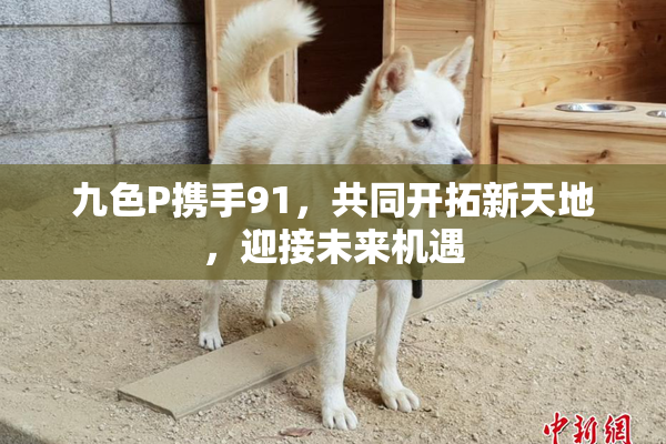 九色P携手91，共同开拓新天地，迎接未来机遇