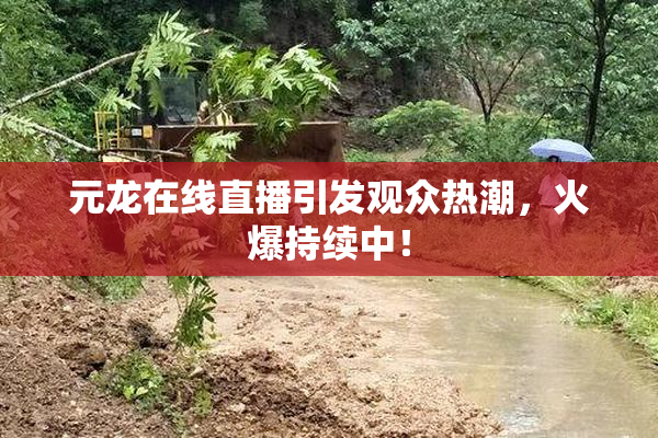 元龙在线直播引发观众热潮，火爆持续中！