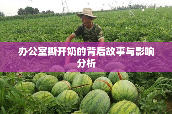 办公室撕开奶的背后故事与影响分析