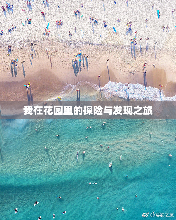 我在花园里的探险与发现之旅