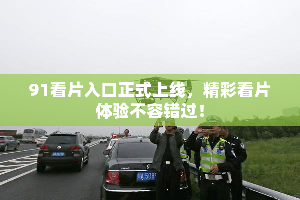 91看片入口正式上线，精彩看片体验不容错过！