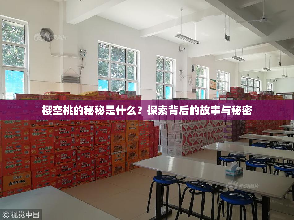 樱空桃的秘秘是什么？探索背后的故事与秘密