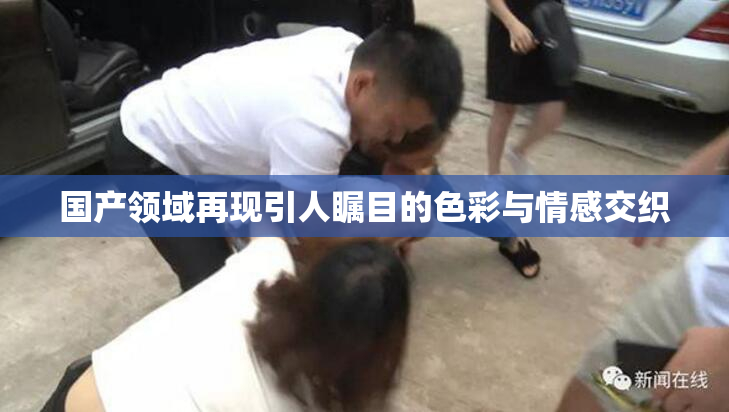 国产领域再现引人瞩目的色彩与情感交织