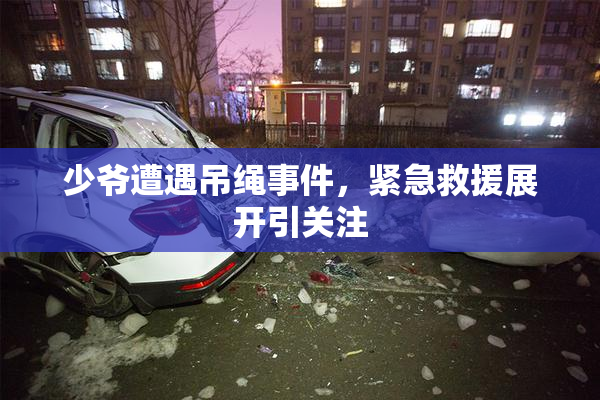 少爷遭遇吊绳事件，紧急救援展开引关注