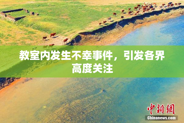 教室内发生不幸事件，引发各界高度关注