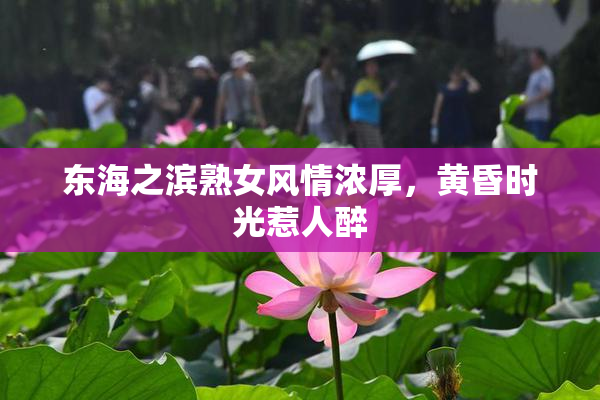 东海之滨熟女风情浓厚，黄昏时光惹人醉