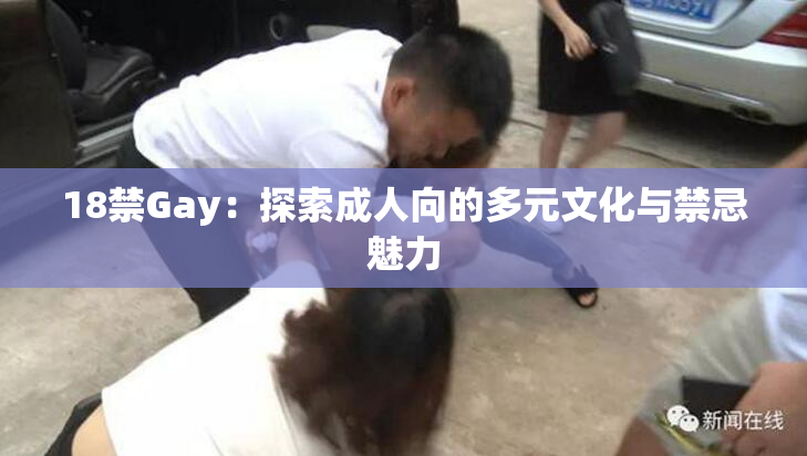 18禁Gay：探索成人向的多元文化与禁忌魅力