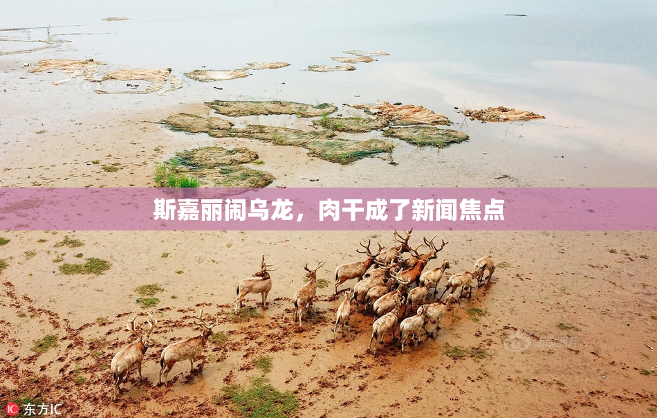 斯嘉丽闹乌龙，肉干成了新闻焦点