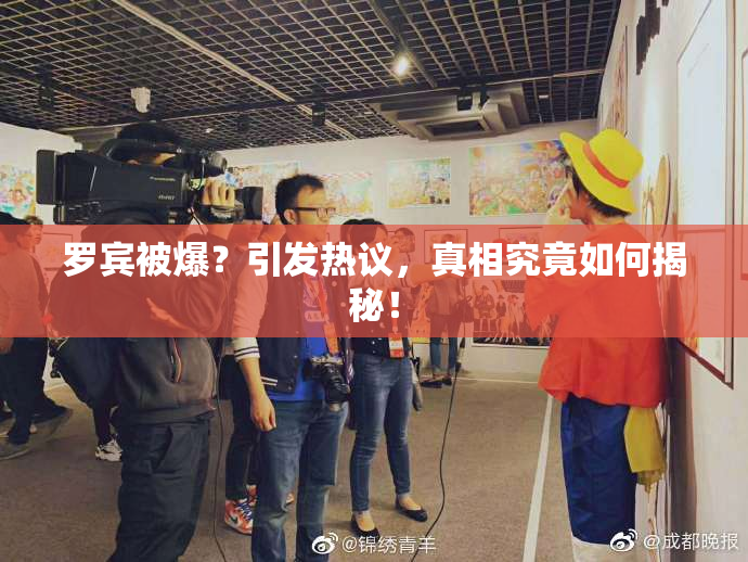 罗宾被爆？引发热议，真相究竟如何揭秘！