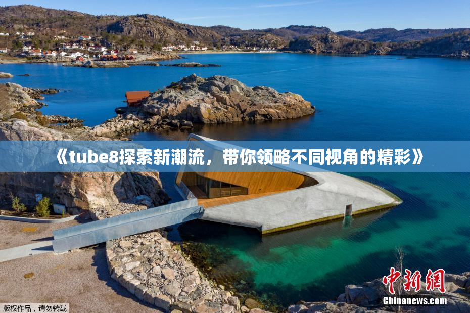 《tube8探索新潮流，带你领略不同视角的精彩》