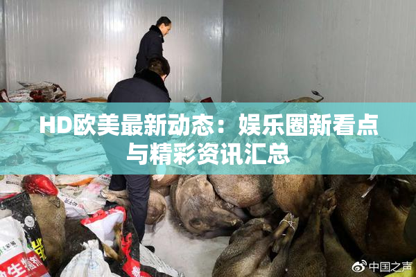 HD欧美最新动态：娱乐圈新看点与精彩资讯汇总