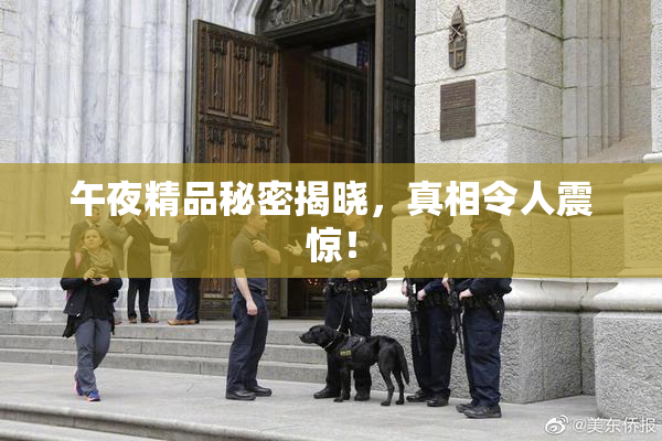 午夜精品秘密揭晓，真相令人震惊！